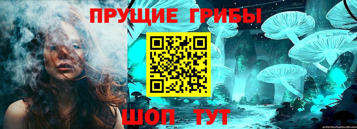Бузулук  Галлюциногенные грибы Psilocybine cubensis  Вход с VPN  Псилоцибиновые грибы ЛСД 