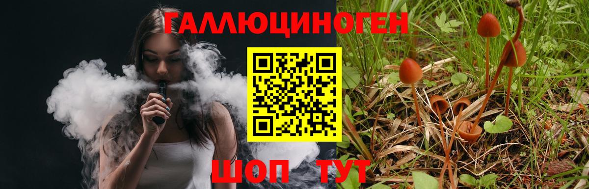 Псилоцибиновые грибы Psilocybine cubensis Бузулук